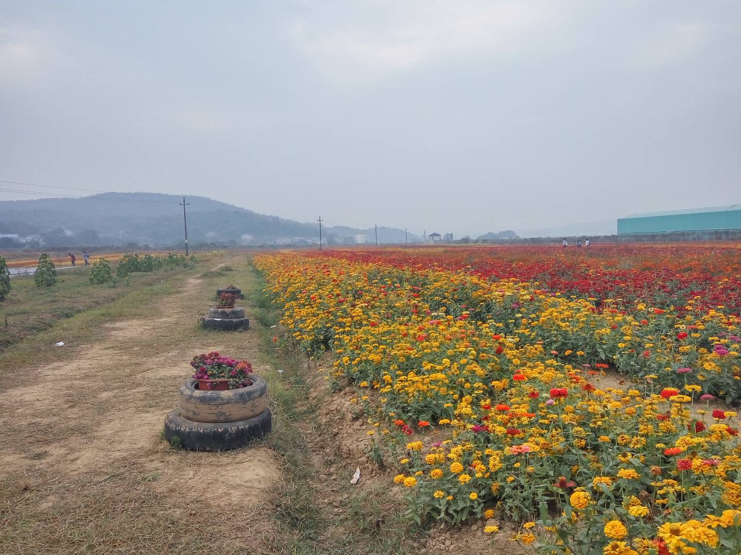 学园艺专业都干什么,学园艺技术好不好