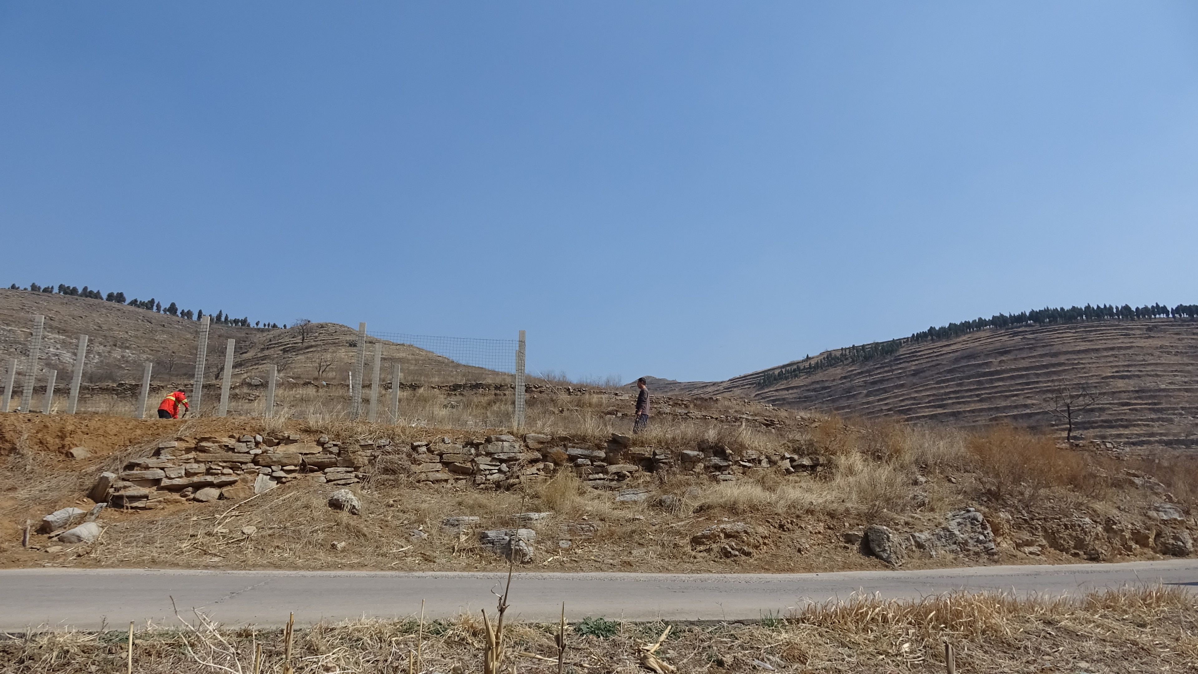 我的家在桃花山,我的家在桃花山全曲