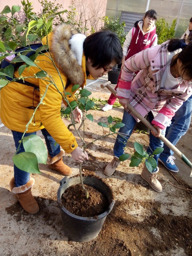 学园艺专业都干什么,学园艺技术好不好