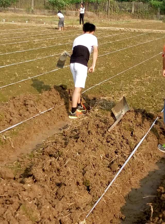 学园艺专业都干什么,学园艺技术好不好