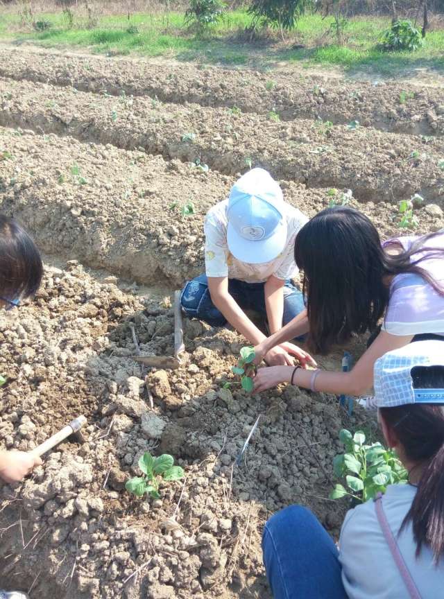学园艺专业都干什么,学园艺技术好不好