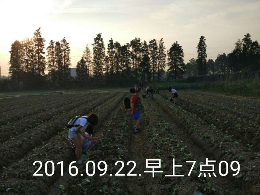 学园艺专业都干什么,学园艺技术好不好