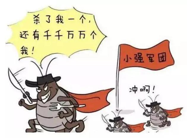 动物界的女儿国,动物世界国王和女儿