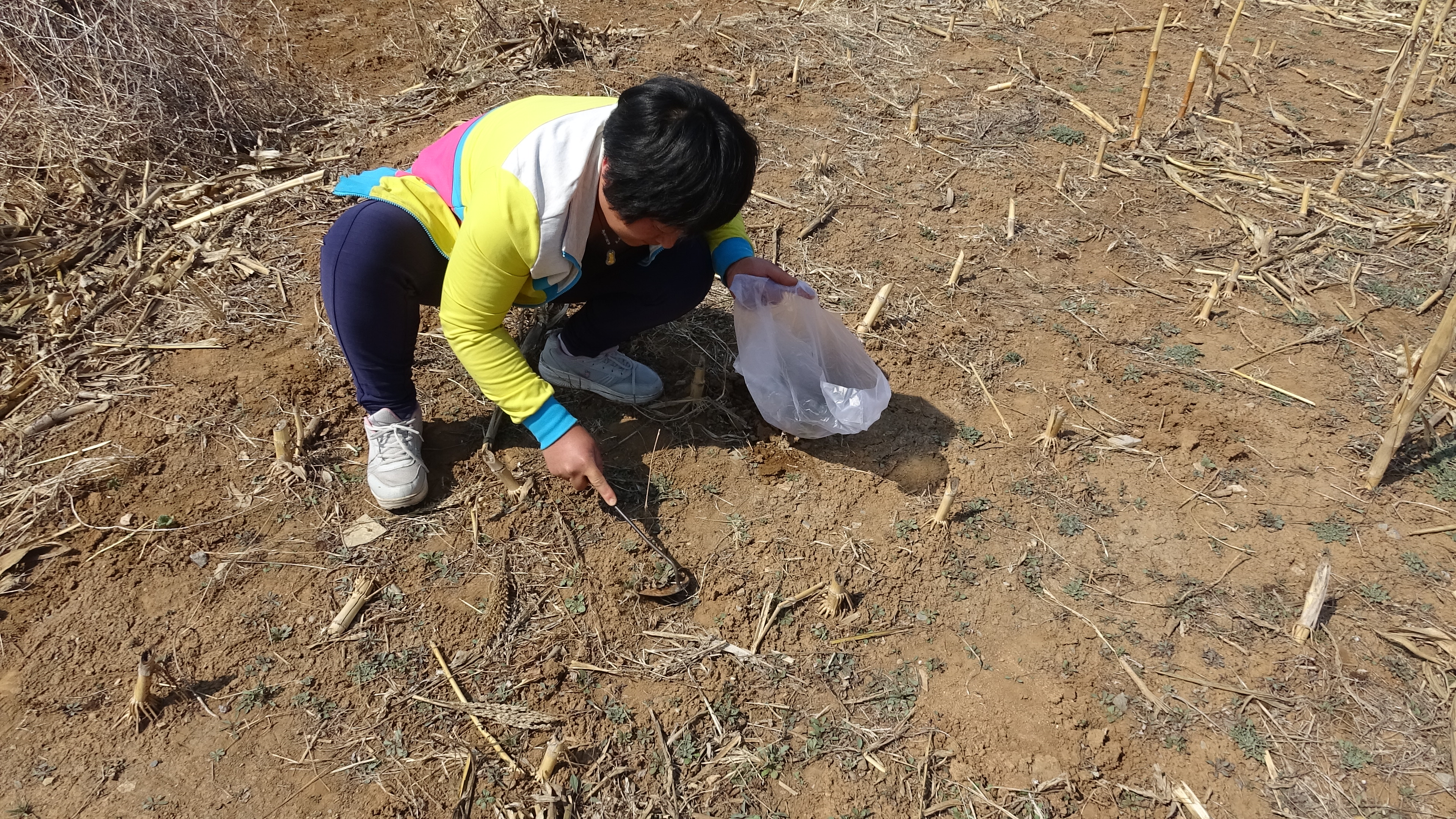 我的家在桃花山,我的家在桃花山全曲