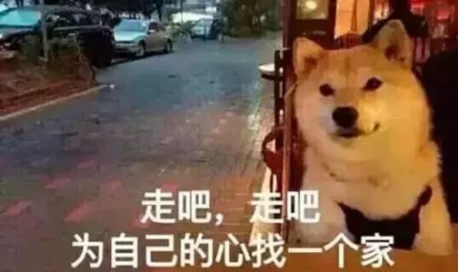 宫泽理惠老公森田刚 (宫泽理惠老公森田刚年轻的样子)