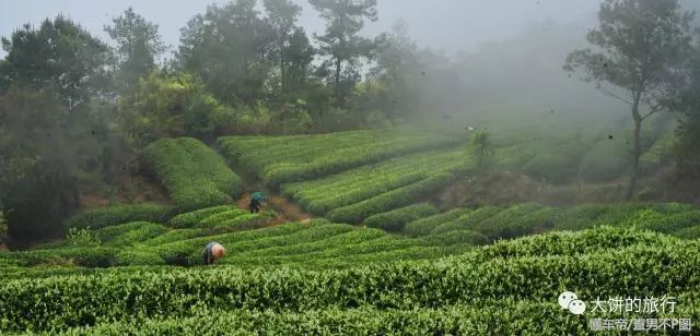 自驾太姥山旅游攻略路线图,太姥山自驾一日游最佳路线图