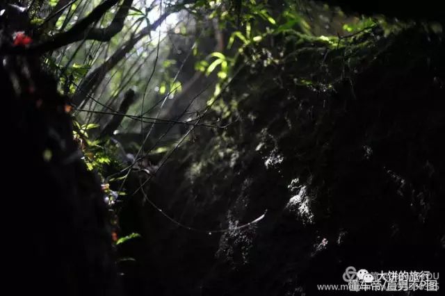 自驾太姥山旅游攻略路线图,太姥山自驾一日游最佳路线图