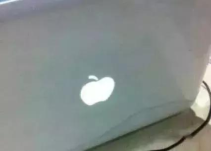 王老菊，粤利粤，阿迪屌丝……再次刷新了我的世界观！