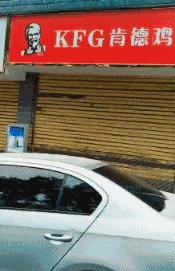 王老菊，粤利粤，阿迪屌丝……再次刷新了我的世界观！