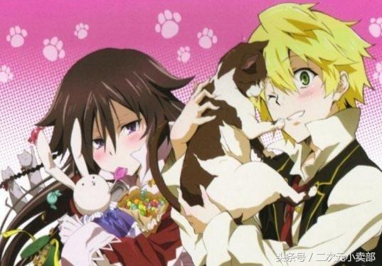 白金毛和红金毛搭配,黑狼跟金毛搭配