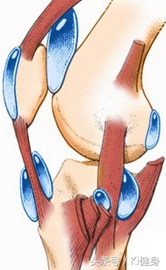 膝盖弯曲有点疼膝关节结构图,从运动角度来看膝关节为什么会痛