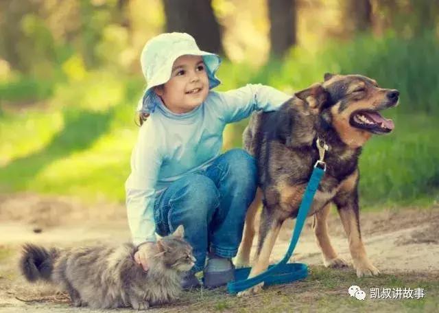 儿童洞洞鞋有什么危害,儿童洞洞鞋危害