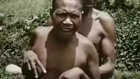 人类天生吃肉食吗,人类为何不适合吃肉