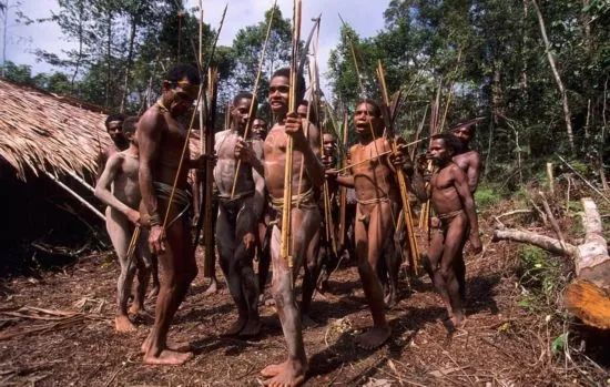 人类天生吃肉食吗,人类为何不适合吃肉