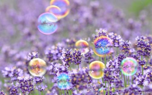 左眼跳和右眼跳分别有什么预兆吗,今天左眼皮和右眼跳动是什么意思