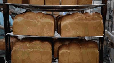 新加坡15个骨灰级秘密，知道一半你比本地人还厉害~