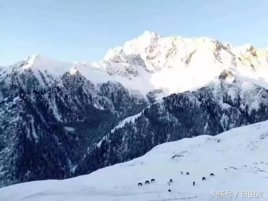 五当召的传说——潘复生