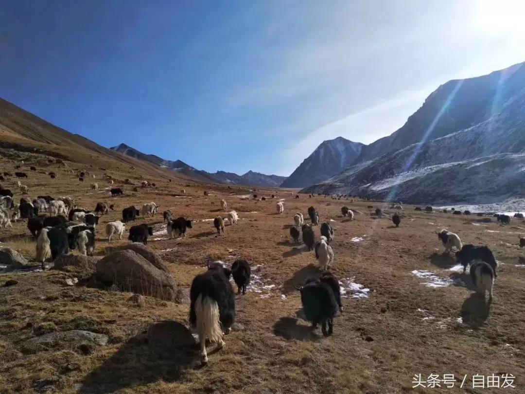 五当召的传说——潘复生