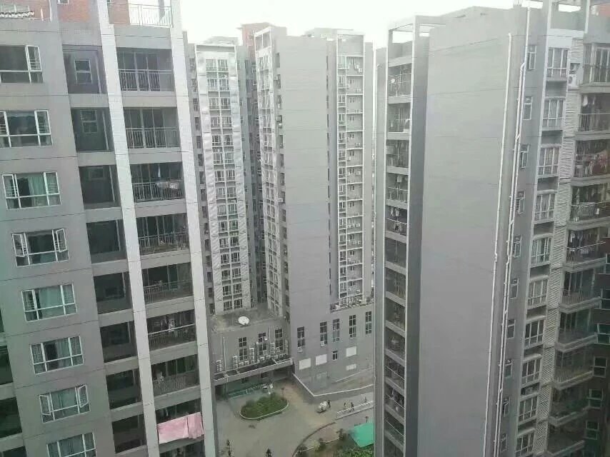 今天和朋友去沙井看了花园房价格便宜户型都有跟商品房一模一样