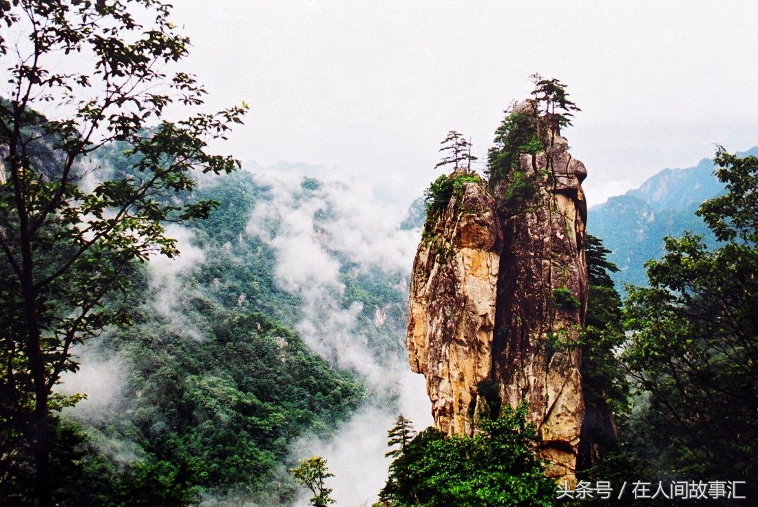 世界上真有龙吗的短视频,世界上真的有龙吗段子