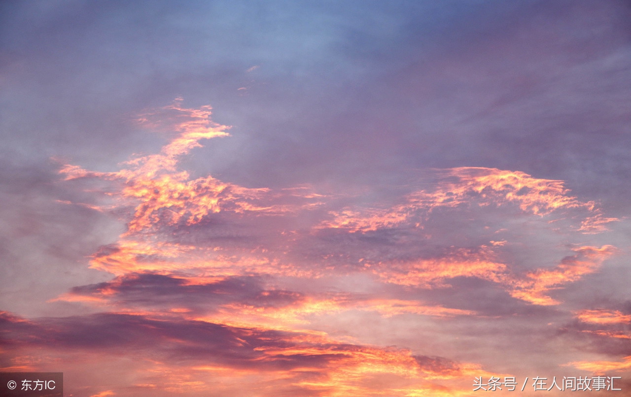 世界上真有龙吗的短视频,世界上真的有龙吗段子