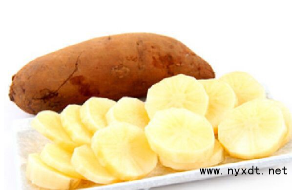 雪莲果种植技术及视频,雪莲果种植技术