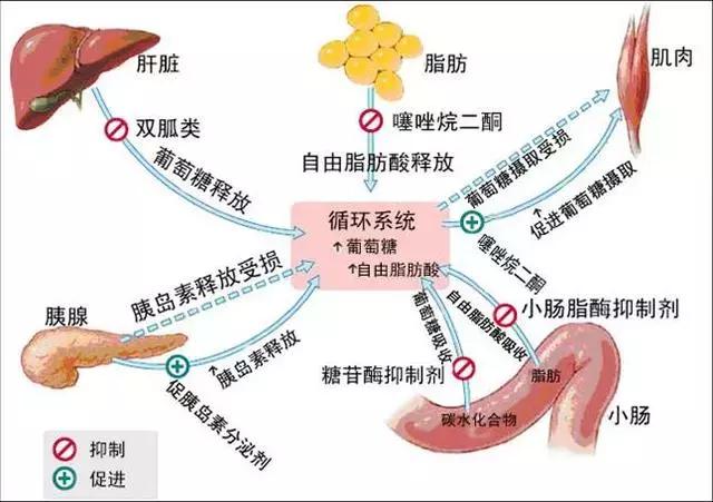 解密身体健康密码 (个人健康解码方法)