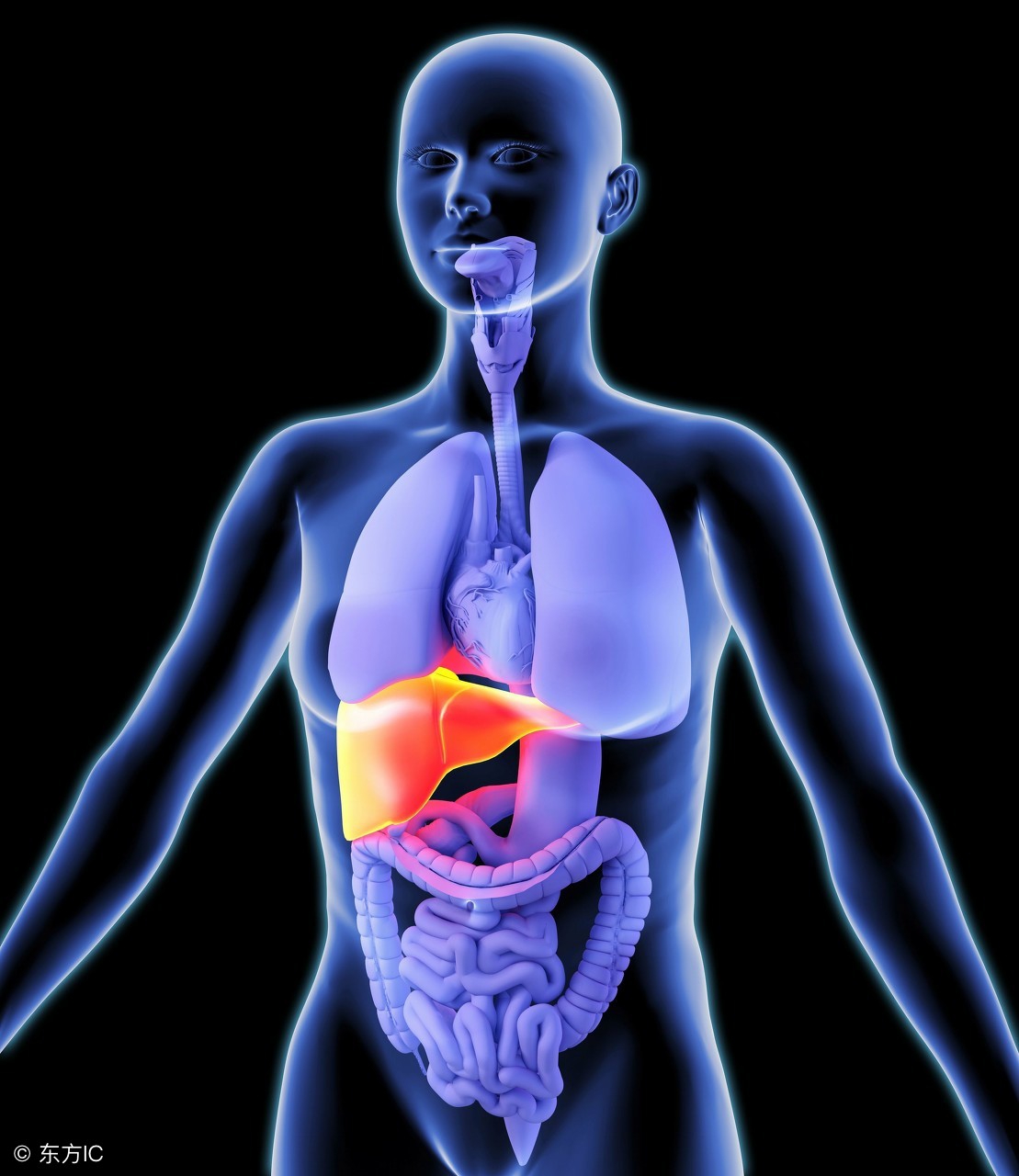 解密身体健康密码 (个人健康解码方法)