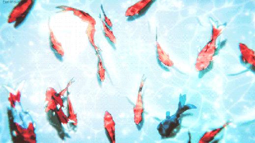 家养鱼怎么养才能旺财运,几种提升财运的小方法养鱼