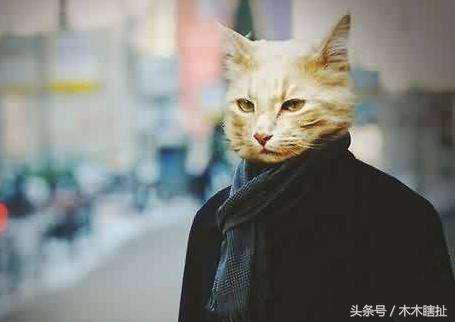 心理学接受一件事情的四个阶段,五个让你内心强大的心理学