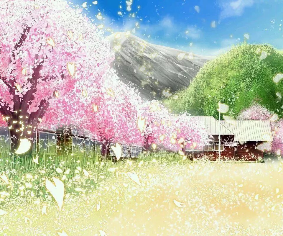 美爆了!下周起,全苏州人都将涌入这片花海...(内附白马涧中奖名单)