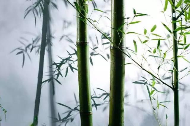 关于骄傲的名言与古诗,古代奋发向上的名言