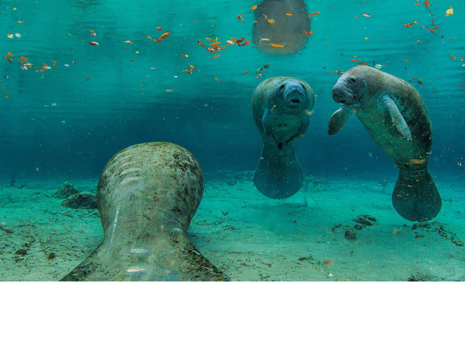 2022国家地理摄影作品照片,摄影国家地理精选20190211