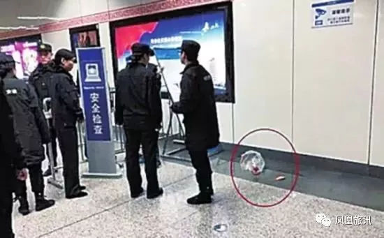 地铁可以带金鱼上去吗,武汉金鱼能不能带上地铁