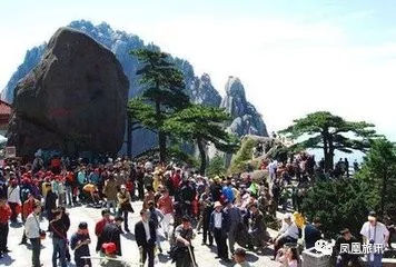 地铁可以带金鱼上去吗,武汉金鱼能不能带上地铁