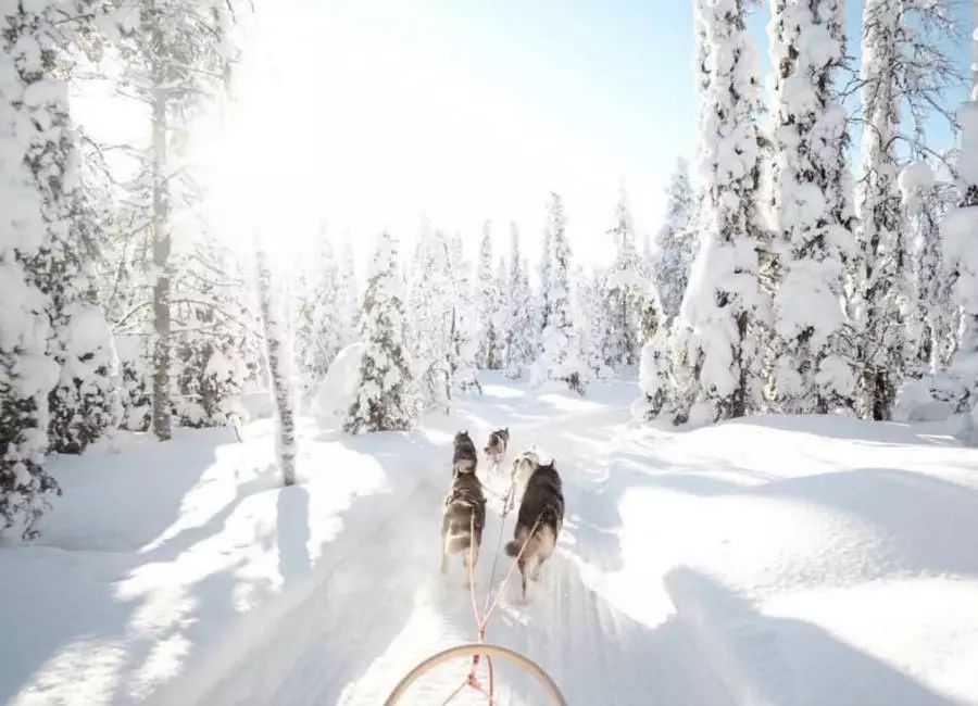 第一次出国去芬兰,带一本书去巴黎出版社