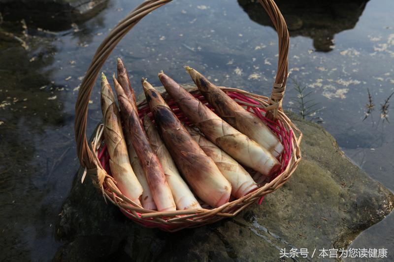 春天必须吃的10道菜,春季必吃的菜王