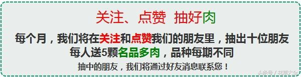 多肉叶插爆芽以后怎么处理,多肉叶插出芽后要怎么养