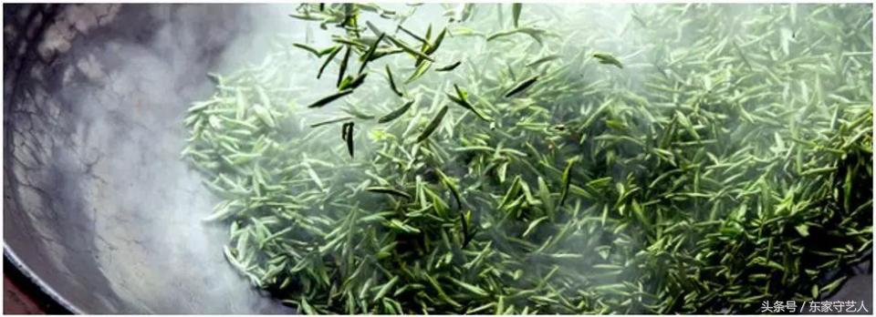 四川蒙顶甘露春茶,春茶第一口鲜蒙顶甘露