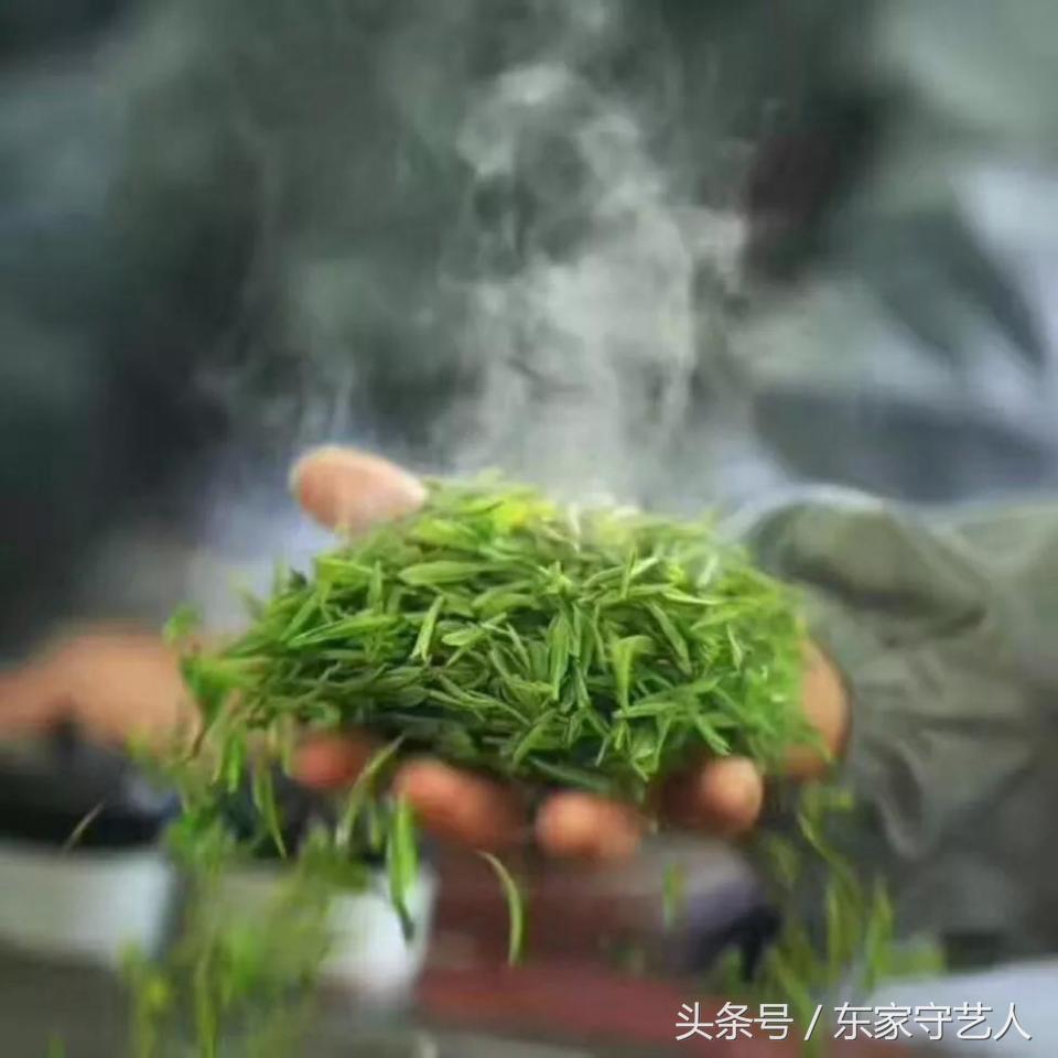 四川蒙顶甘露春茶,春茶第一口鲜蒙顶甘露