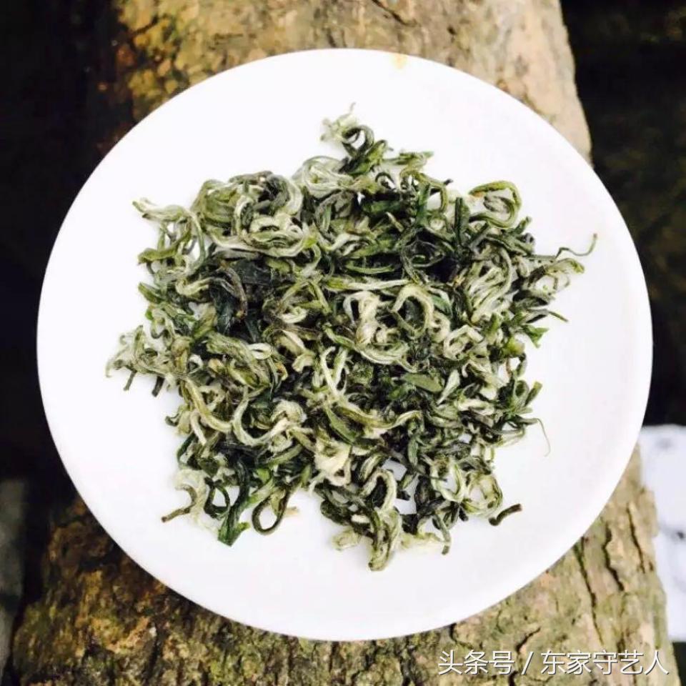 四川蒙顶甘露春茶,春茶第一口鲜蒙顶甘露