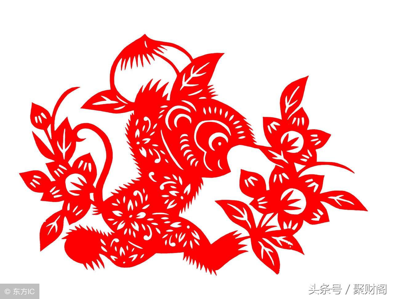 1980女猴在2022年的运势运程,属猴人逐年运势及运程