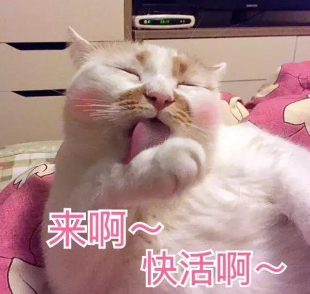 美妆好看的产品,适合欧美的口红平价