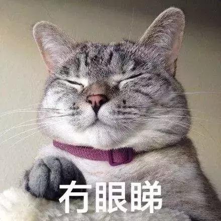 别骗我,这真的是两个字?