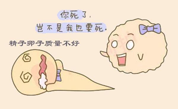 生第一胎是男孩第二胎是女孩,生第一个孩子第一胎是不是最好