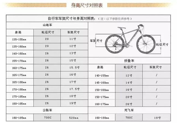 山地自行车骑行技巧入门,城市骑行自行车推荐入门