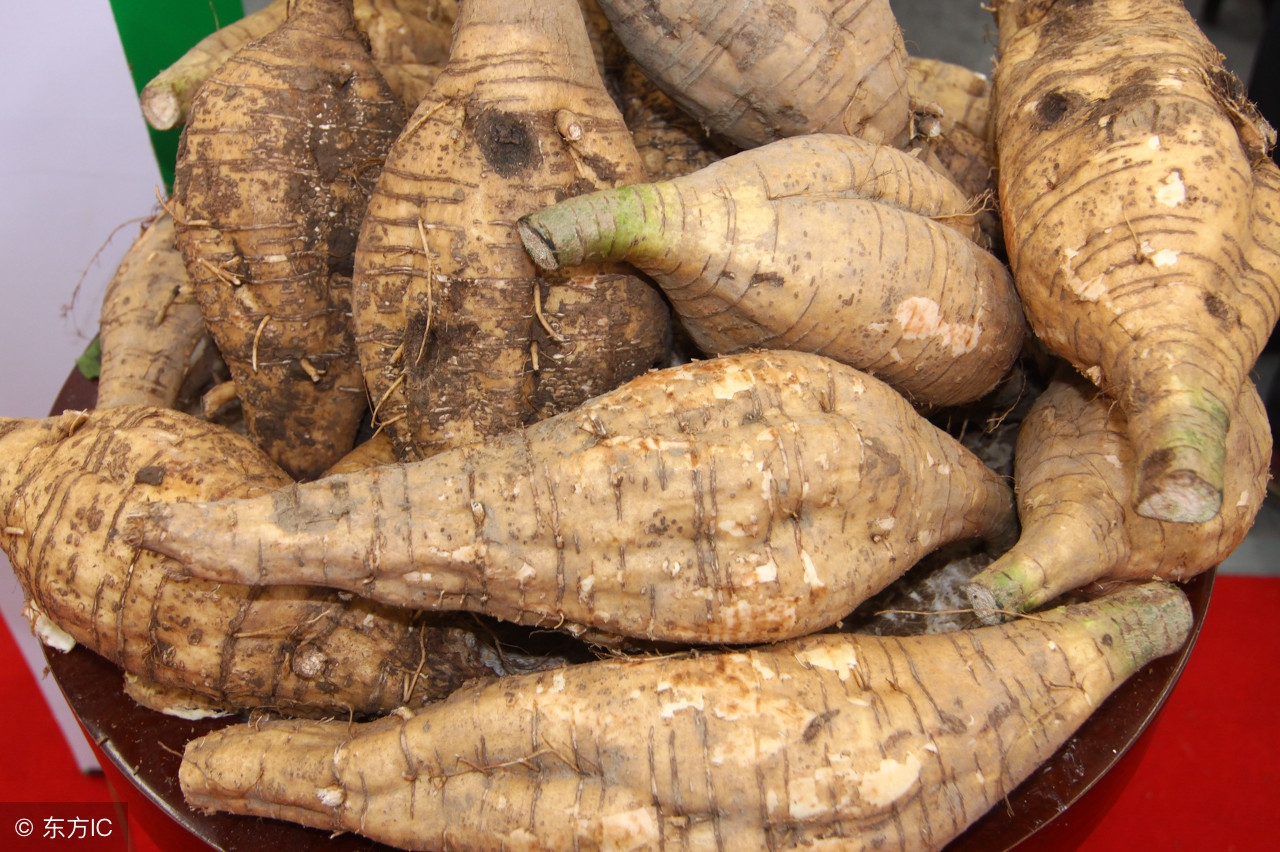 名老中医讲桂枝加葛根汤,桂枝加葛根汤有的有麻黄有的没有