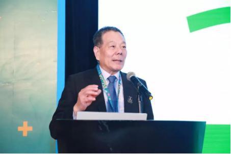 乔治汤米运动,乔治汤米长袖