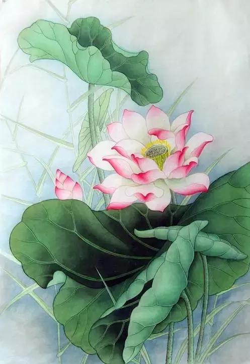 学画荷花和荷叶,荷花怎么画儿童简笔画