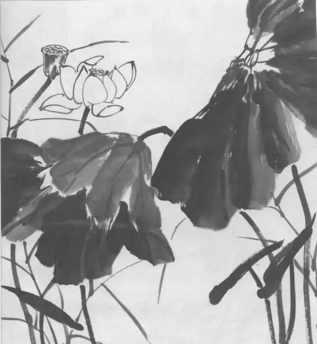 学画荷花和荷叶,荷花怎么画儿童简笔画